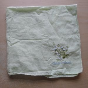 2/$20! Valentino Green Handkerchief